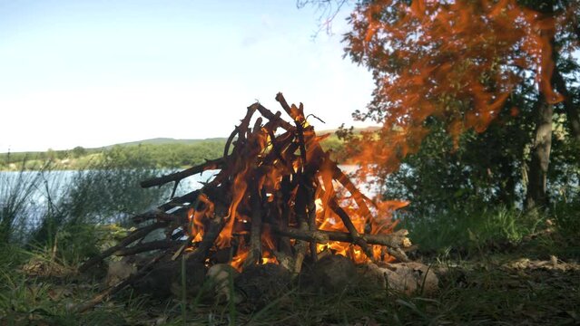 fire burning in oak wood - beautiful flames - slowly burning fire 4K 60 FPS