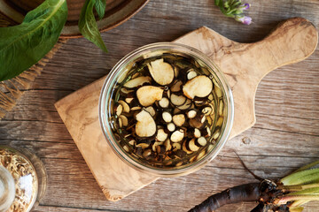 Preparation of tincture from fresh comfrey of knitbone root