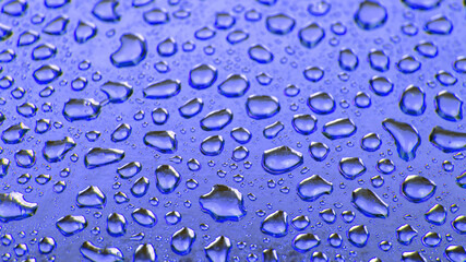 Drops of water on a colored background. Abstract texture