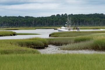 Lobster Boat on Scarborough Marsh - 649397289