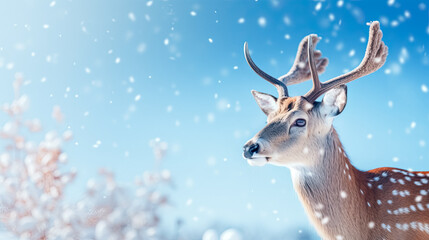 Winter fantastic postcard. Red deer in a fairy-tale snowy forest. Christmas image. Winter wonderland. Blue christmas greeting card with copy space.
