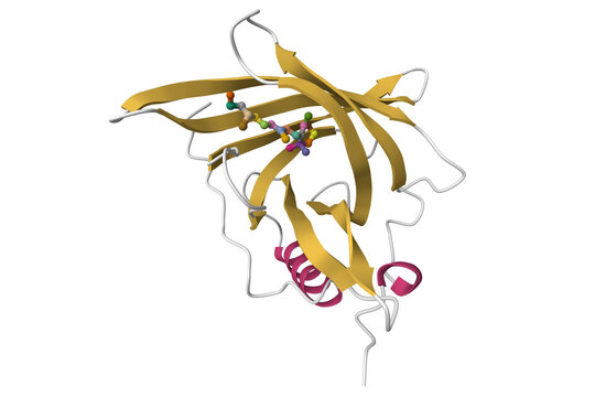 Crystal structure of the trigonal form of human plasma retinol-binding protein with retinol bound. 3D cartoon model, secondary structure color scheme, PDB 1brp