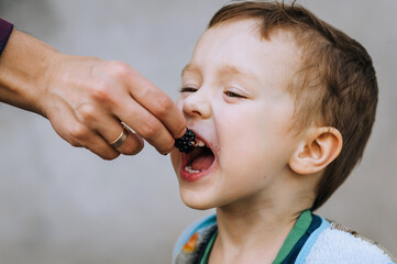 A caring mother feeds a hungry boy, child, son with ripe blackberries and raspberries. Photography, portrait.