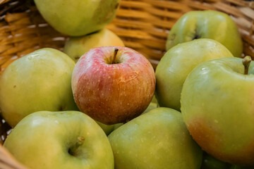 apples in basket