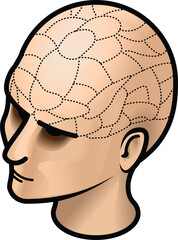 A woman's head with dotted lines showing areas or regions of the skull like a phrenology model.