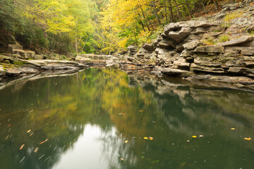 Fallen autumn leaves swirl in a gently flowing section of Roaring Brook in Nay Aug Park Scranton...