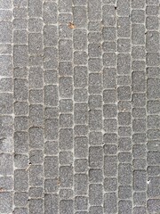 pavement in park
