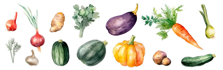 Watercolor vegetables set, autumn harvest. Carrot, pumpkin and squash, eggplant and onions. Vegetarian menu.