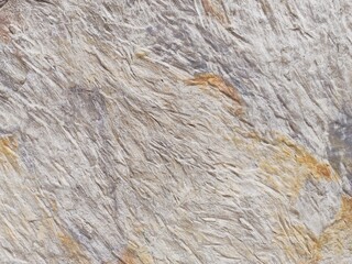 old wall