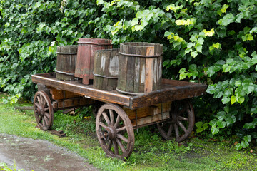 Fototapeta na wymiar Old cart with wooden barrels in the garden in heavy rain.