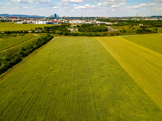 Fototapeta premium Drone view ultra wide angle down on green young wheat and rape seed southern Vienna