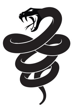 illustration of black snake isolated on white background