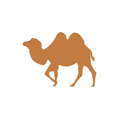 Vector illustration of the camel logo icon, an Arabian animal symbol.