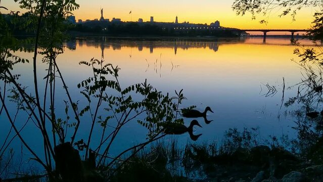 View of the Motherland monument, lights on the Paton Bridge over the Dnipro River in the capital of Ukraine, Kyiv, on a sunset. Ducks swim along the riverbank in a big city on a clear summer evening.