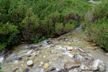Górska kamienista rzeka na tle zieleni.
