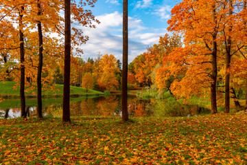 Golden autumn (fall) in Alexander park, Tsarskoe Selo (Pushkin), Saint Petersburg, Russia