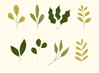 Big set botanic blossom floral elements. Branches, leaves, herbs, wild plants, flowers. Garden, meadow, field collection leaf, foliage, branches. Hand drawn illustration.