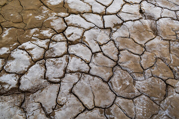 Abstract Pattern Background of Parched Salt Plain