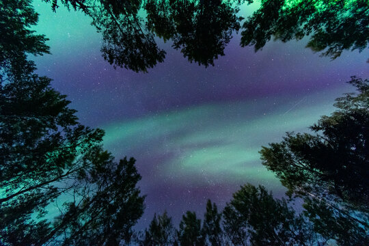 Amazing Northern Lights, British Columbia, Canada