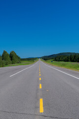Purple Fireweed blooms line road along Alaska Highway through Northern British Columbia, Canada