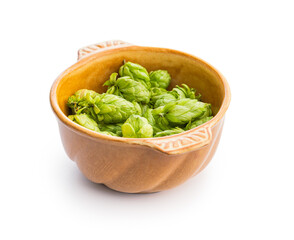 Green hops crop in bowl isolated on white background.