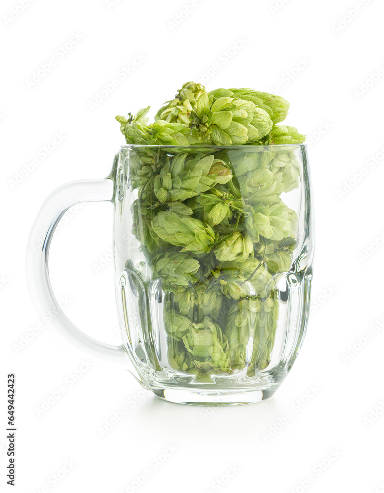 Wall mural green hops crop in beer glass isolated on white background.