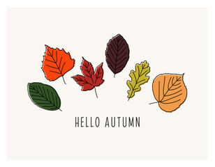 Colorful Autumn Leaves Collection with Intricate Outlines and Curved Lines from Various Trees