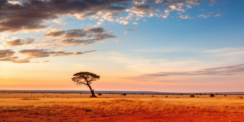 Savannah sunset, sunrise. Cameroon, Central African Republic, Chad, Sudan, Ethiopia. African landscape. - obrazy, fototapety, plakaty