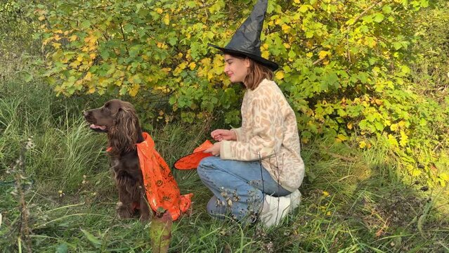 A dog for Halloween in a sorcerer 's costume . A red spaniel in festive clothes is playing with his master. the dog walks with his master on a warm autumn day.