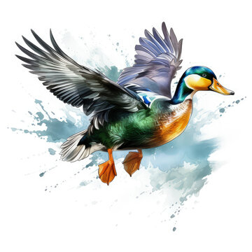 Watercolor Mallard Duck Illustration, Generative Ai
