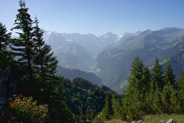landscape in the mountains