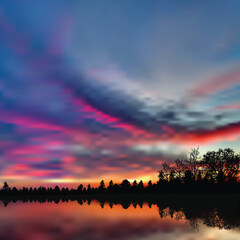 Obraz premium evening red landscapes with trees in forest near lake
