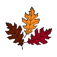 Oak leaves natural logotype isolated on white background