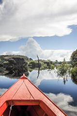 Landscape view from a boat on the Amazon