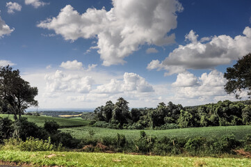 Landscape of Foz do Iguacu, blue sky with clouds and green gras and trees