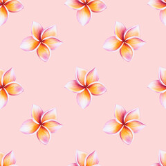 Watercolor seamless pattern with realistic tropical illustration of plumeria flowers with leaves isolated on white background. Beautiful botanical hand painted frangipani clip art. For designers, s