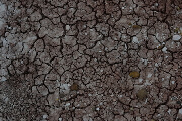 texture of the arid ground