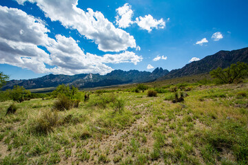 Organ Mountains, New Mexico, USA
