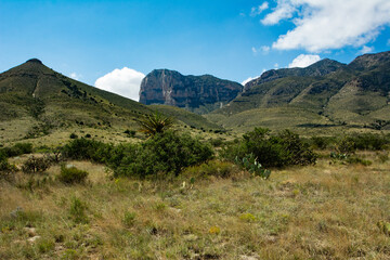 Guadalupe National Park, Texas, USA