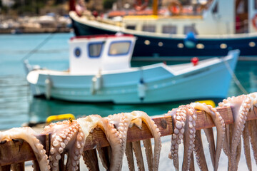 Traditional greek sea food, octopus, drying in the sun, Lipsi island, Dodecanese, Greece. - 649466803