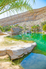 View of the Wadi Bani Khalid oasis in the desert in Sultanate of Oman.