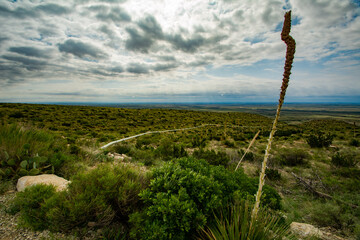 Carlsbad Caverns National Park, New Mexico, USA