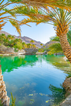View of the Wadi Bani Khalid oasis in the desert in Sultanate of Oman.