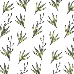 Plant grass pattern, seamless pattern on transparent background, vector botany