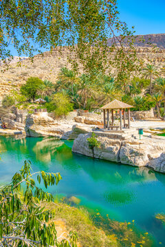 View of the Wadi Bani Khalid oasis in the desert in Sultanate of Oman.