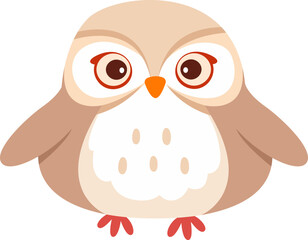 Funny Owl Bird