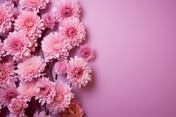 Floral chrysanthemums in pink and magenta hues on a pink backdrop. Plenty of room for text. Generative AI