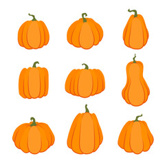 Cartoon bright outlined pumpkins, halloween squash, fall harvest gourds. Pumpkins, squash vector symbols illustrations. Autumn thanksgiving and halloween pumpkins . Isolated white vector Illustration
