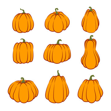 set of hand drawn pumpkins with thick outline. Cartoon pumpkins, halloween squash, fall harvest gourds. Autumn thanksgiving and halloween pumpkins.Vector flat illustration isolated on white background