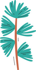 Conifer Tree Branch